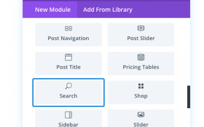Divi search module to include Woocommerce products